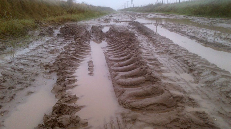 Caminos rurales