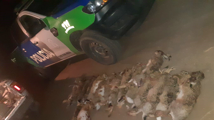 ​Cazadores furtivos