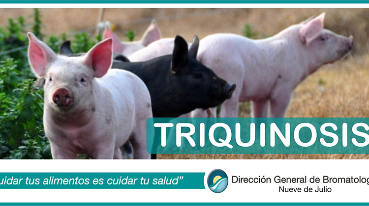 ​Prevencion sobre la triquinosis