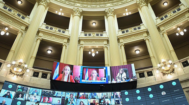 El Senado aprob&oacute; la nueva ley de biocombustibles y el alivio fiscal a los monotributistas