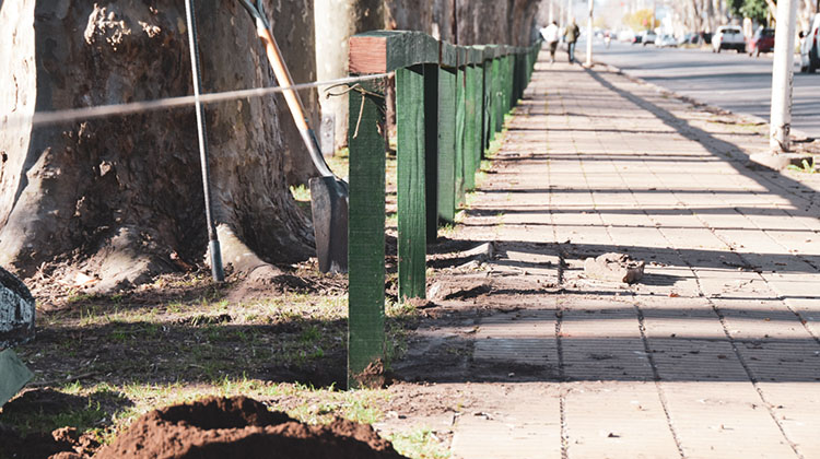 Cerco perimetral