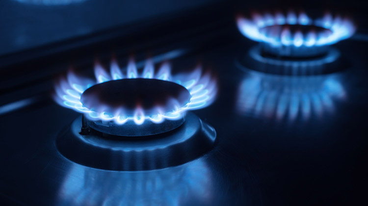 Gas: reglamentan Ley "zonas fr&iacute;as"