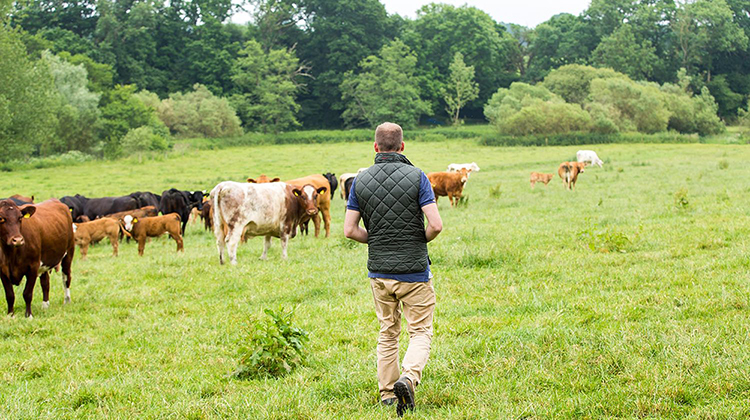 Dia  de ​Agr&oacute;nomos y Veterinarios