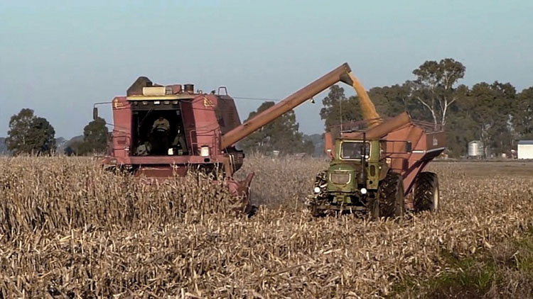 Proyecto de Desarrollo Agroindustrial