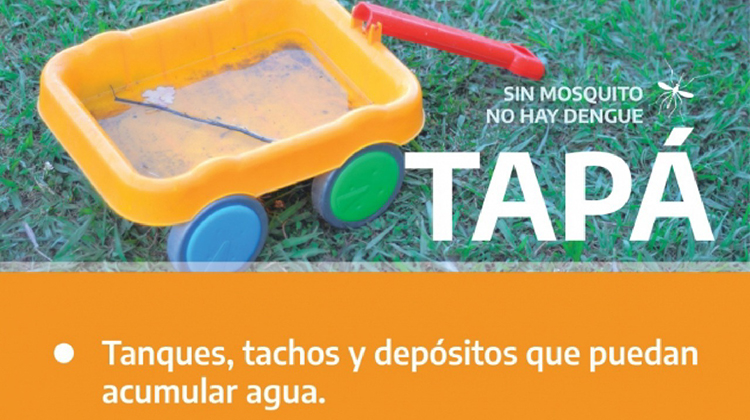 ​Dengue