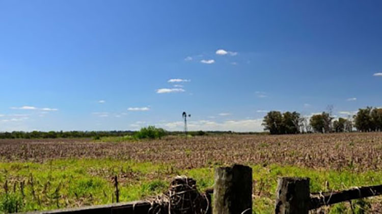 CRA: La inseguridad rural no da para m&aacute;s