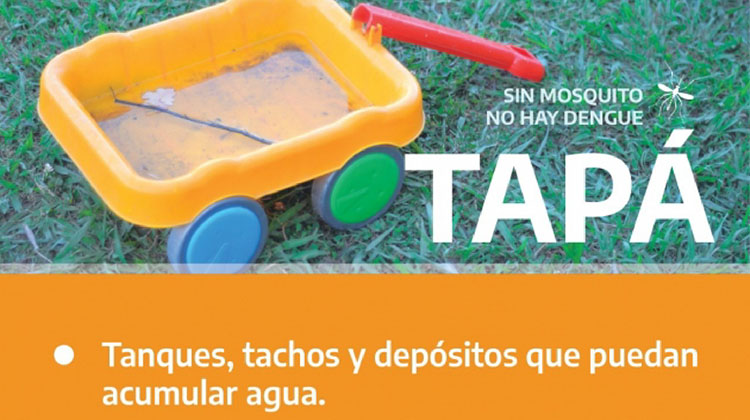 Prevenci&oacute;n del dengue