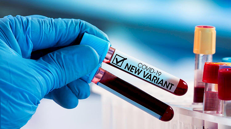 Alerta &Oacute;micron