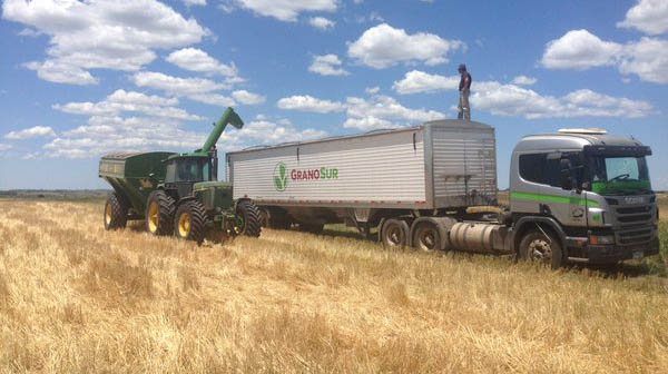 Argentina importar&aacute; trigo 