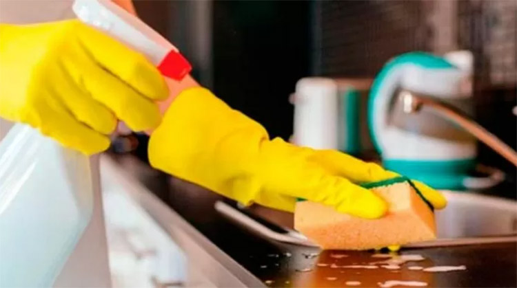 Empleadas dom&eacute;sticas