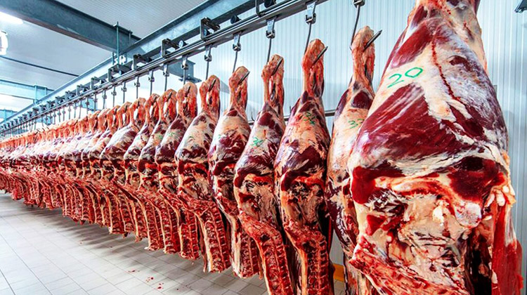 Carnes: Restricciones a la exportaci&oacute;n 