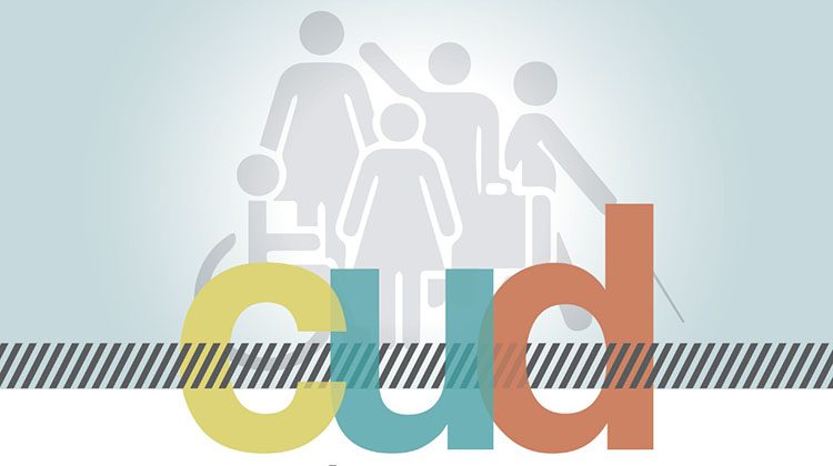 ​Certificados &Uacute;nicos de Discapacidad