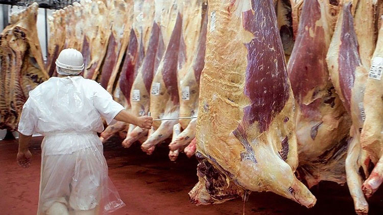 Cu&aacute;les son los cortes que abarca el nuevo acuerdo de precios de la carne