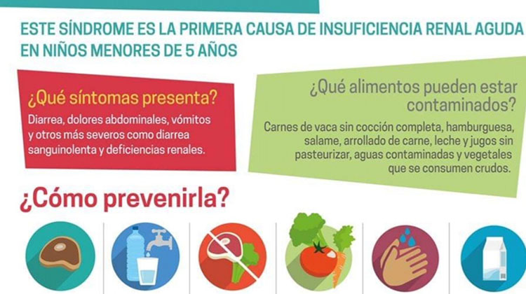  S&iacute;ndrome Ur&eacute;mico Hemol&iacute;tico