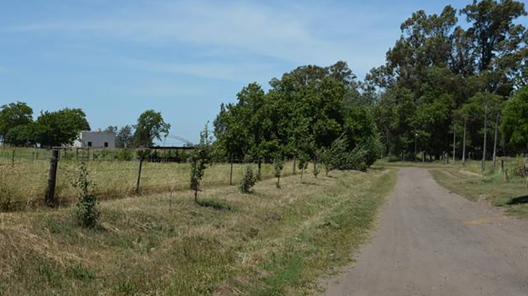 Labor de ​Defensa Civil