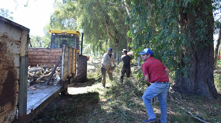 ​El municipio trabaja en El Provincial