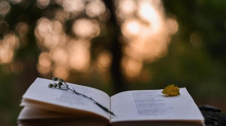 D&iacute;a Mundial de la Poes&iacute;a
