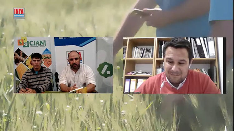 Agricultura de Precisi&oacute;n