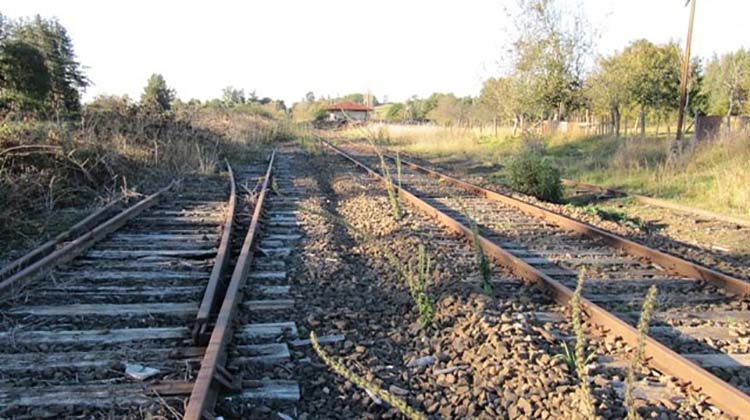 Piden informes por demora en el regreso del servicio del tren de pasajeros