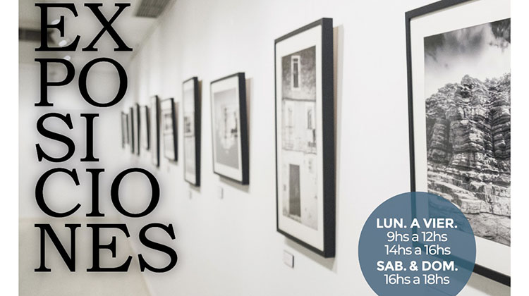 ​Exposiciones art&iacute;sticas