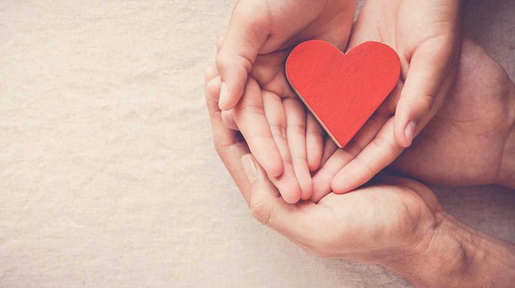 D&iacute;a Mundial de los Pacientes Trasplantados