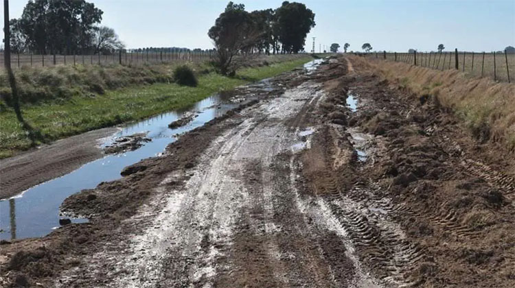 Caminos rurales: el 75% de los productores bonaerenses no está conforme con su estado