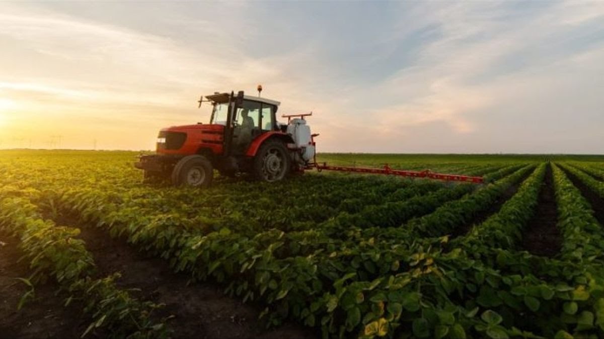 Día de la Agricultura 