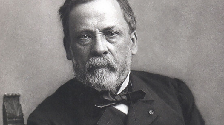 D&iacute;a Mundial de la Zoonosis