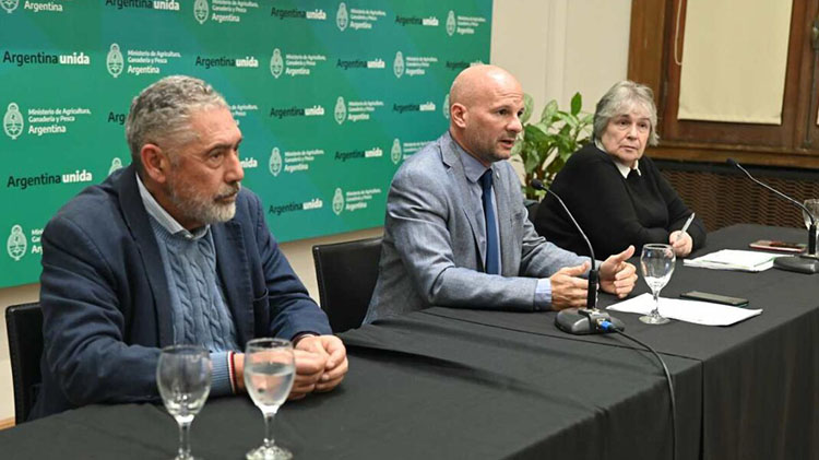 Carne vacuna: el Gobierno inform&oacute; que aument&oacute; el peso de faena y creci&oacute; la producci&oacute;n