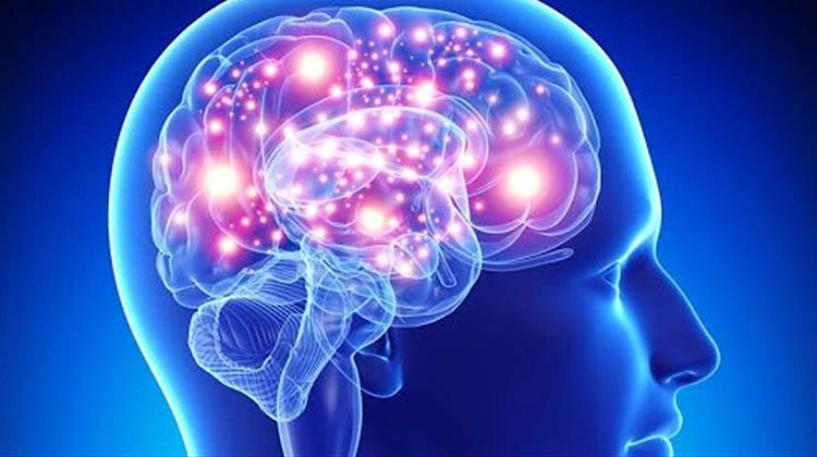D&iacute;a Mundial del Cerebro