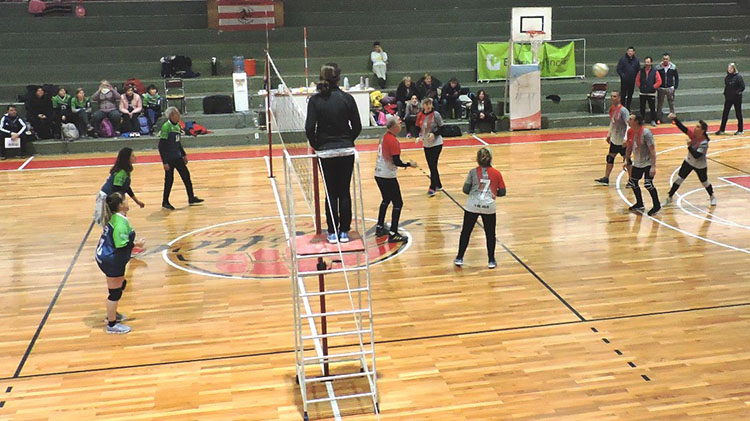 Partidos de Newcom