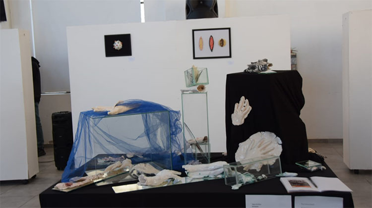 ​Ciclo de Exposiciones Art&iacute;sticas