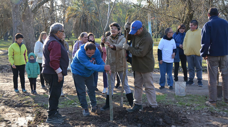 D&iacute;a del &Aacute;rbol