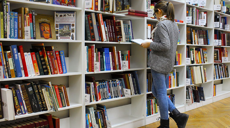 D&iacute;a del Bibliotecario