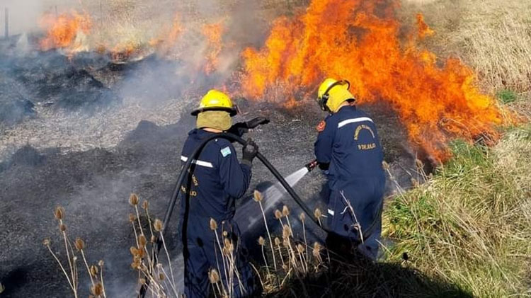 Bomberos alerta por quema de pastos
