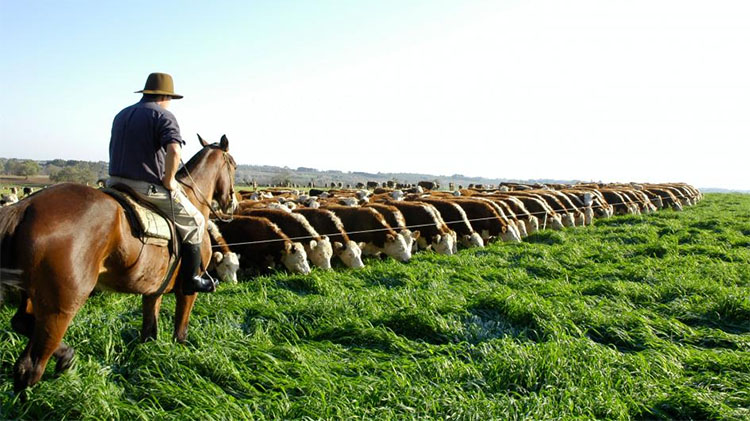 D&iacute;a del Trabajador Rural