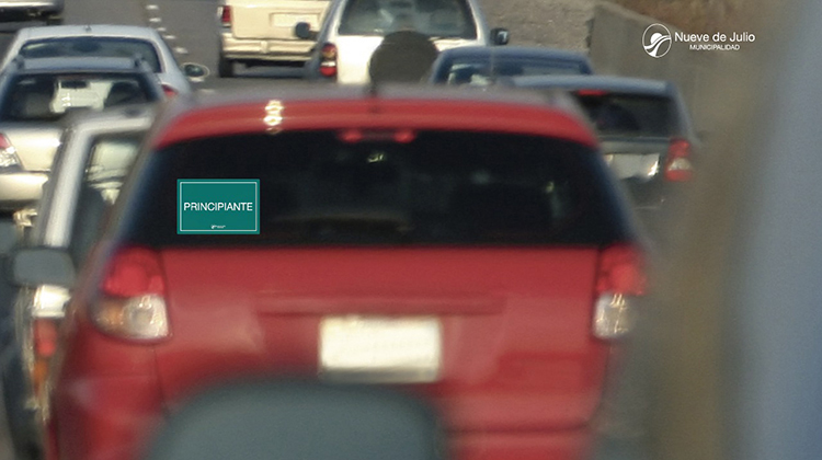 Licencias para principiantes