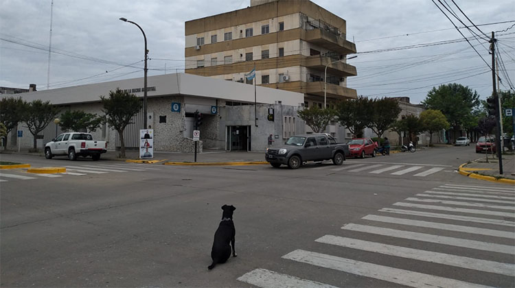 D&iacute;a  del Empleado Bancario