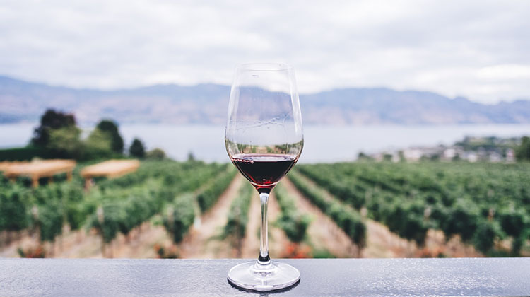 D&iacute;a del Vino Argentino