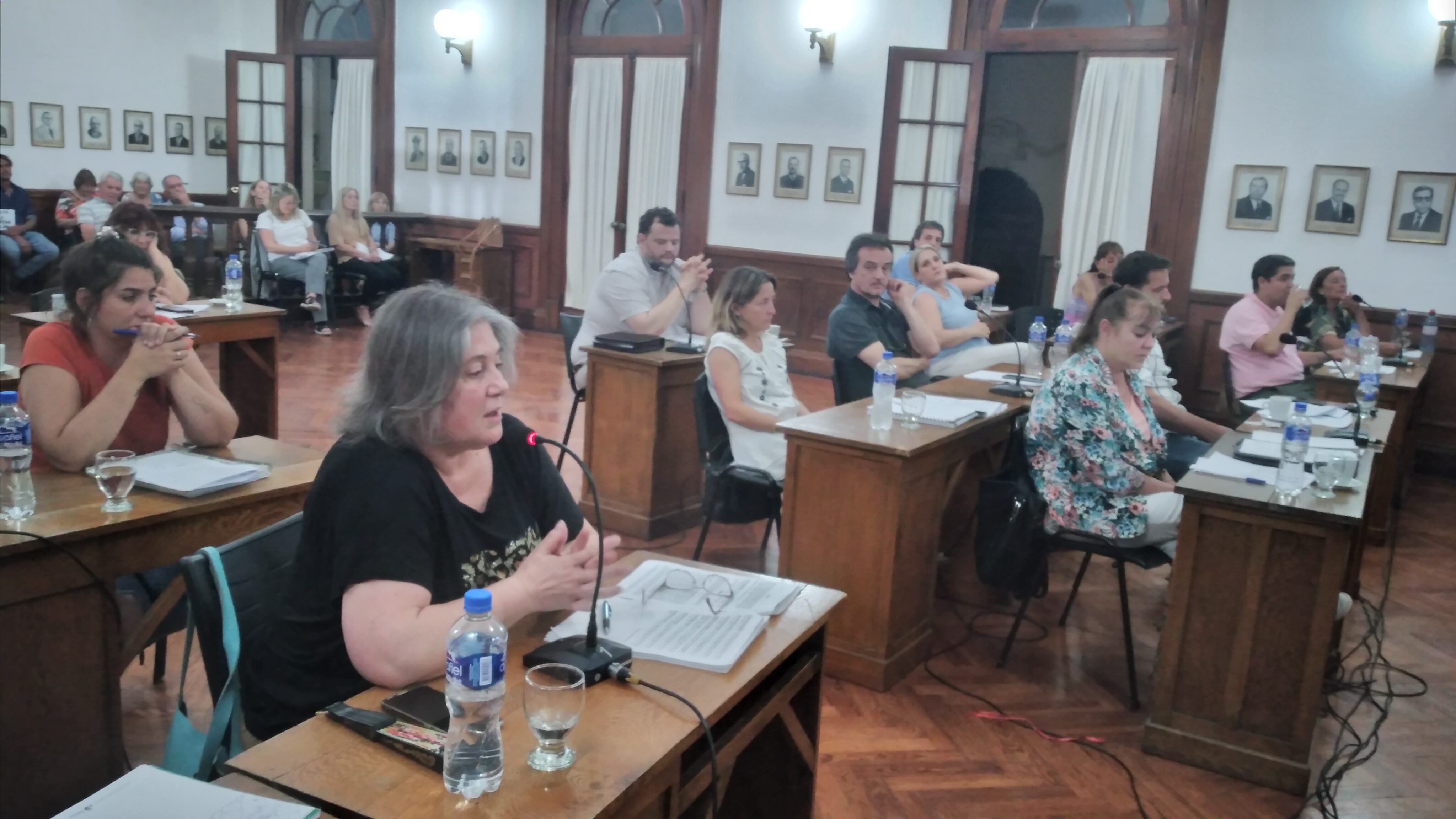 El Concejo Deliberante llama a "Fortalecer los valores democr&aacute;ticos" 