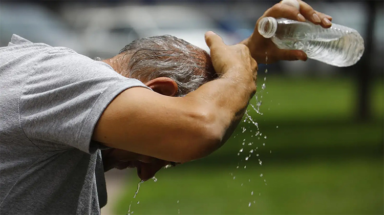 Ola de calor