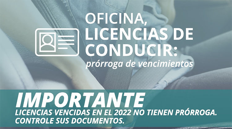Licencias de conducir