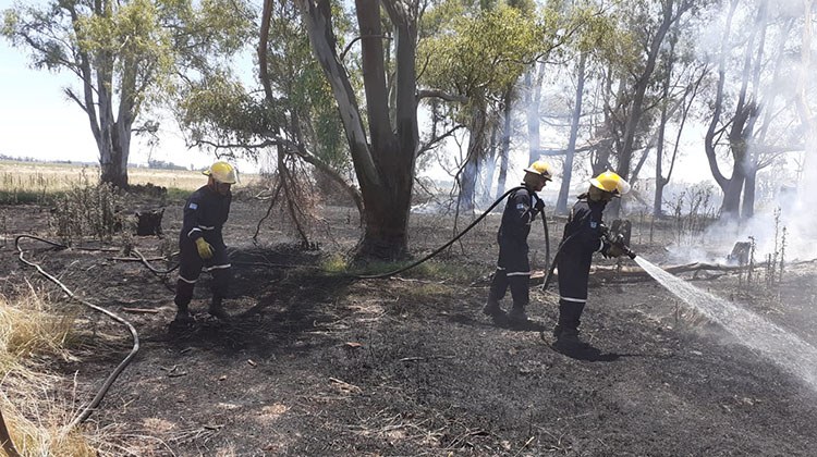 ​Arduo trabajo de Bomberos