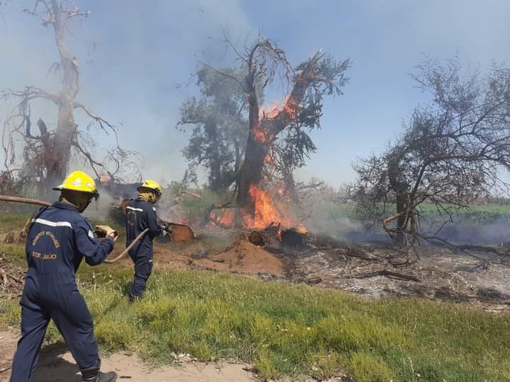 Bomberos trabaj&oacute; arduamente en el incendio de un monte