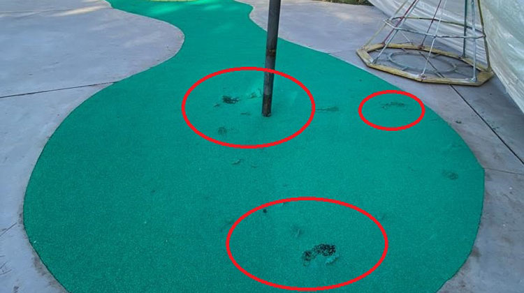 ​Repudiable acto de vandalismo en Plaza Italia