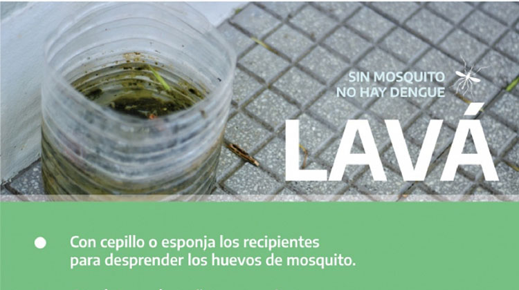 Sin mosquito no hay dengue