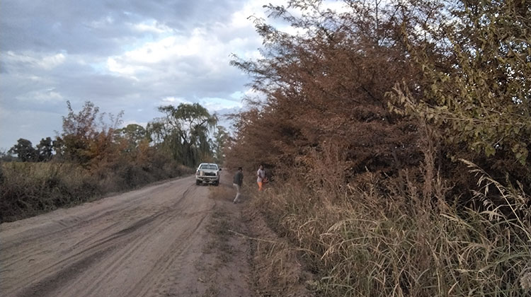 Pulverizaci&oacute;n foliar en acacia negra