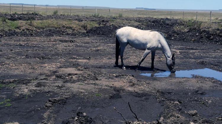 ​Se decret&oacute; la pr&oacute;rroga de la Emergencia Agropecuaria por la sequ&iacute;a en la Provincia