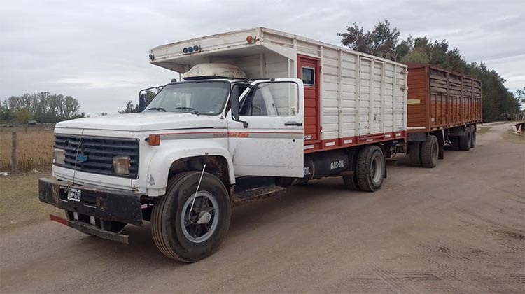 ​Separaci&oacute;n de residuos