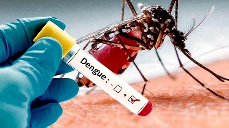 La Anmat aprob&oacute; el uso de una vacuna contra el dengue
